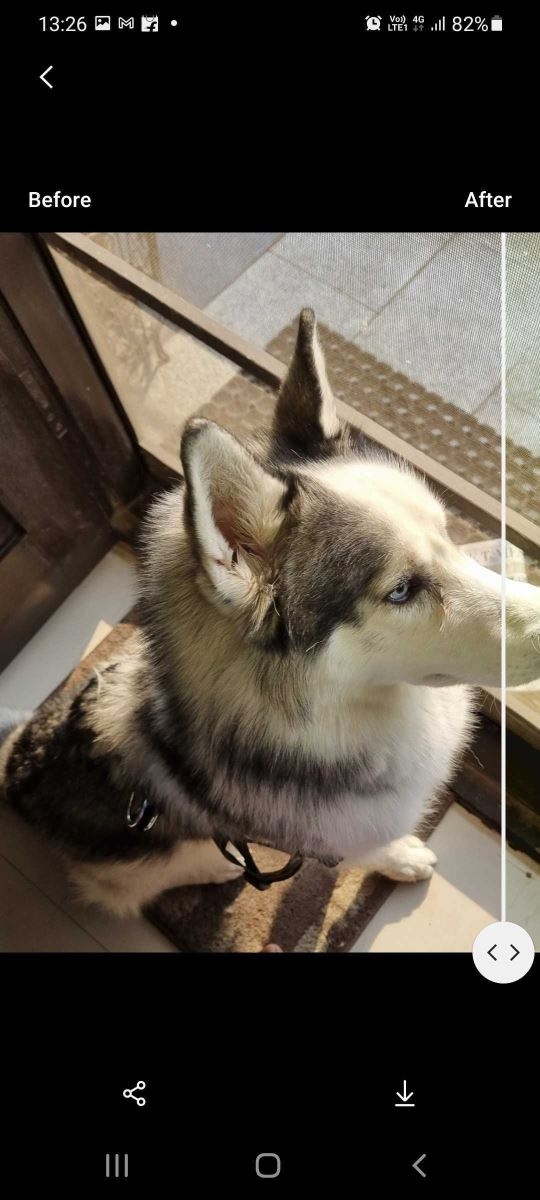 Mẹo bỏ tui cho Samfan: Làm nét ảnh bằng tính năng Remaster có sẵn trên smartphone