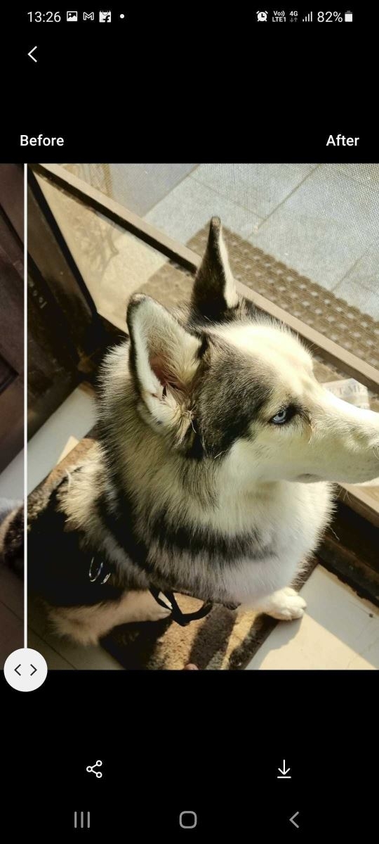 Mẹo bỏ tui cho Samfan: Làm nét ảnh bằng tính năng Remaster có sẵn trên smartphone