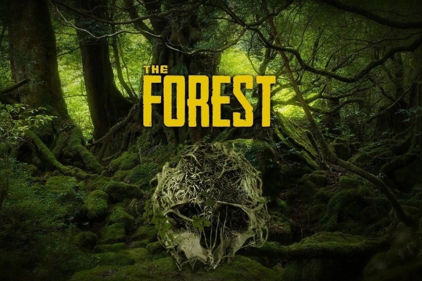 The forest
