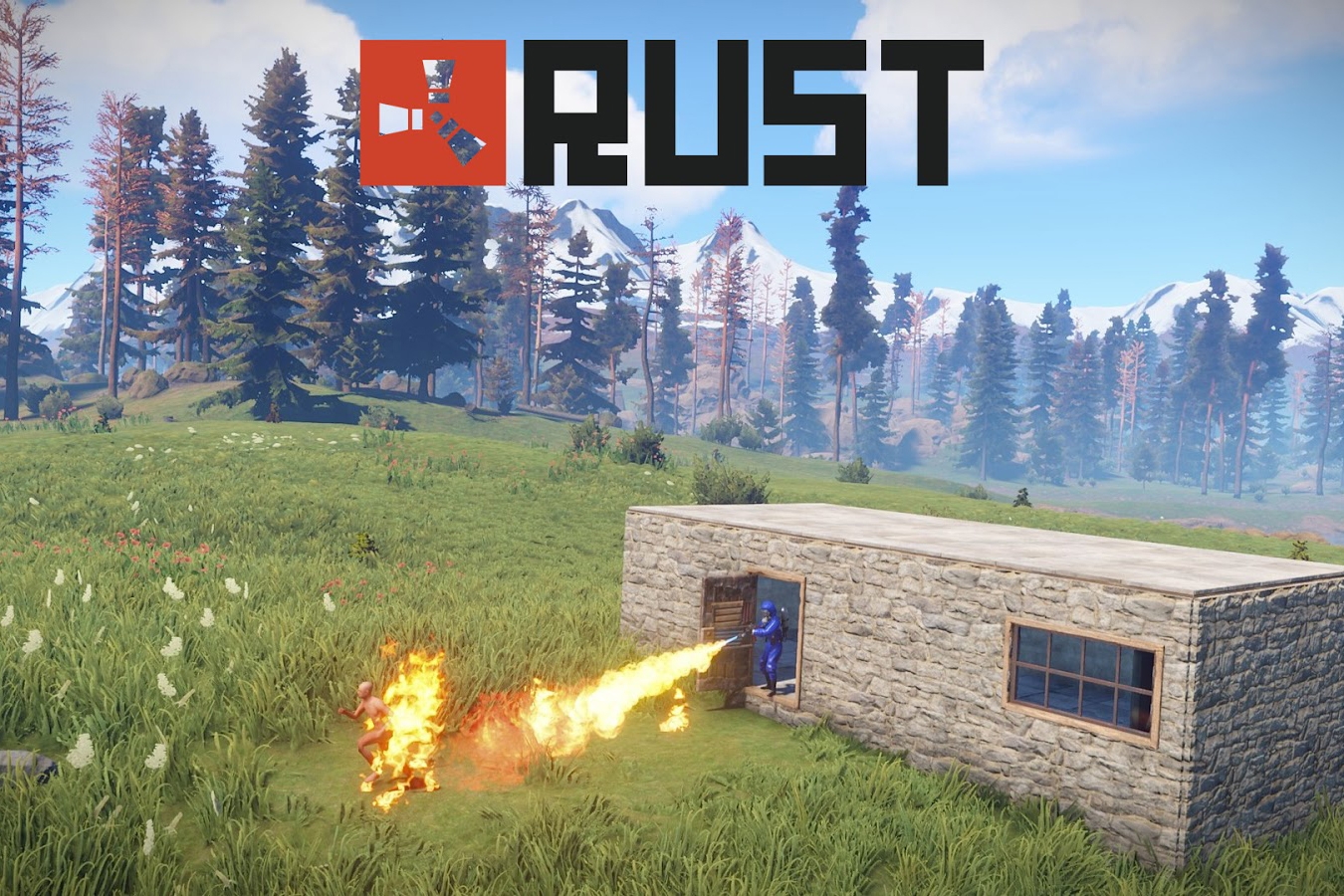 Rust