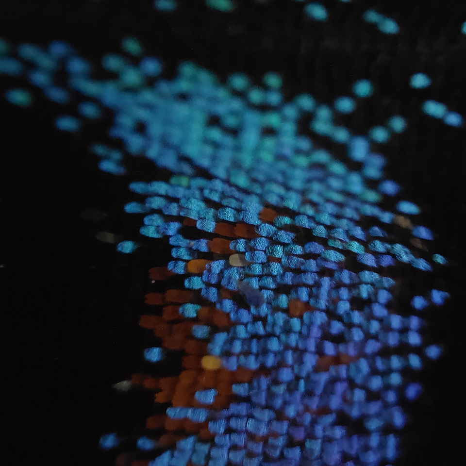 Camera kính hiển vi của OPPO Find X3 Pro chụp hình như thế nào?