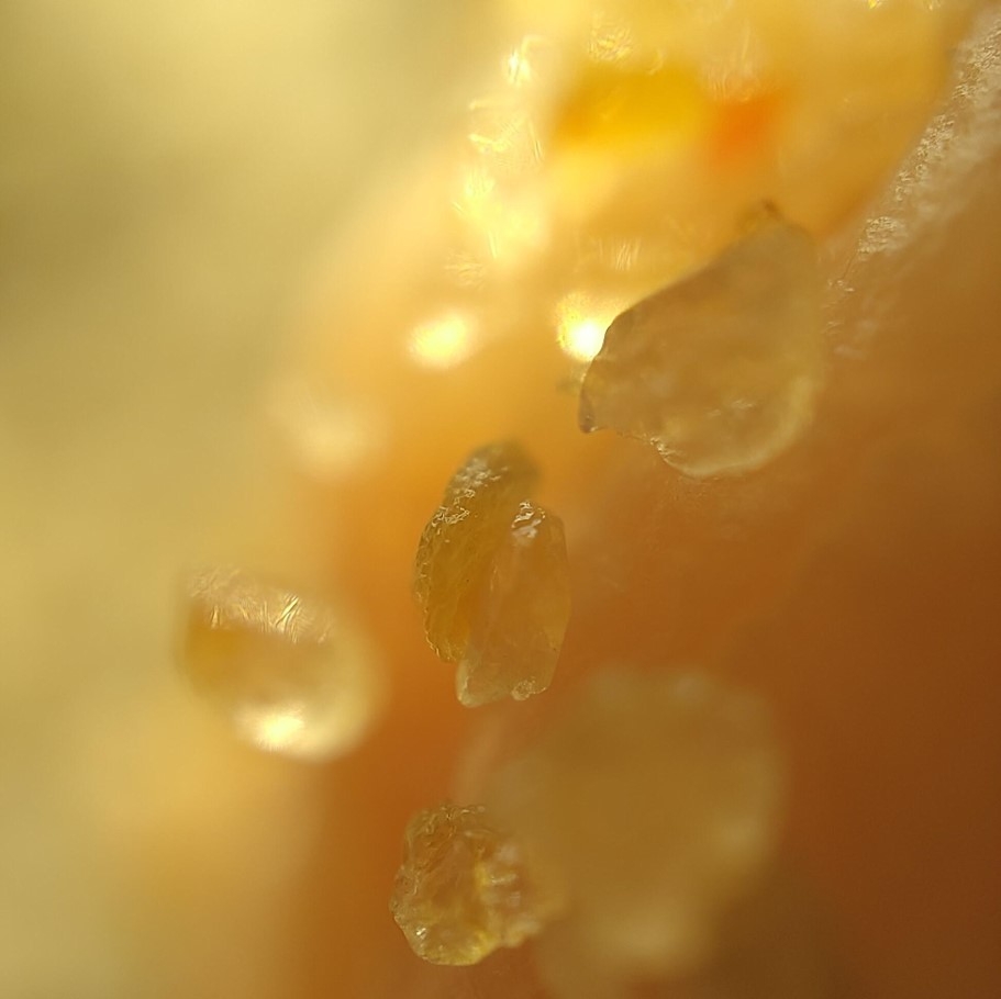 Camera kính hiển vi của OPPO Find X3 Pro chụp hình như thế nào?