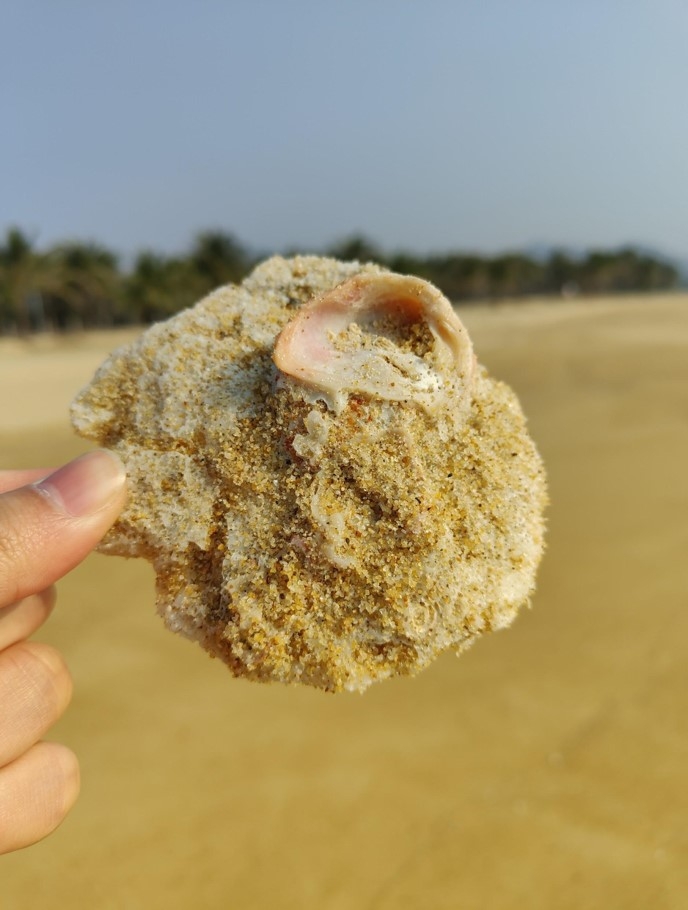 Camera kính hiển vi của OPPO Find X3 Pro chụp hình như thế nào?