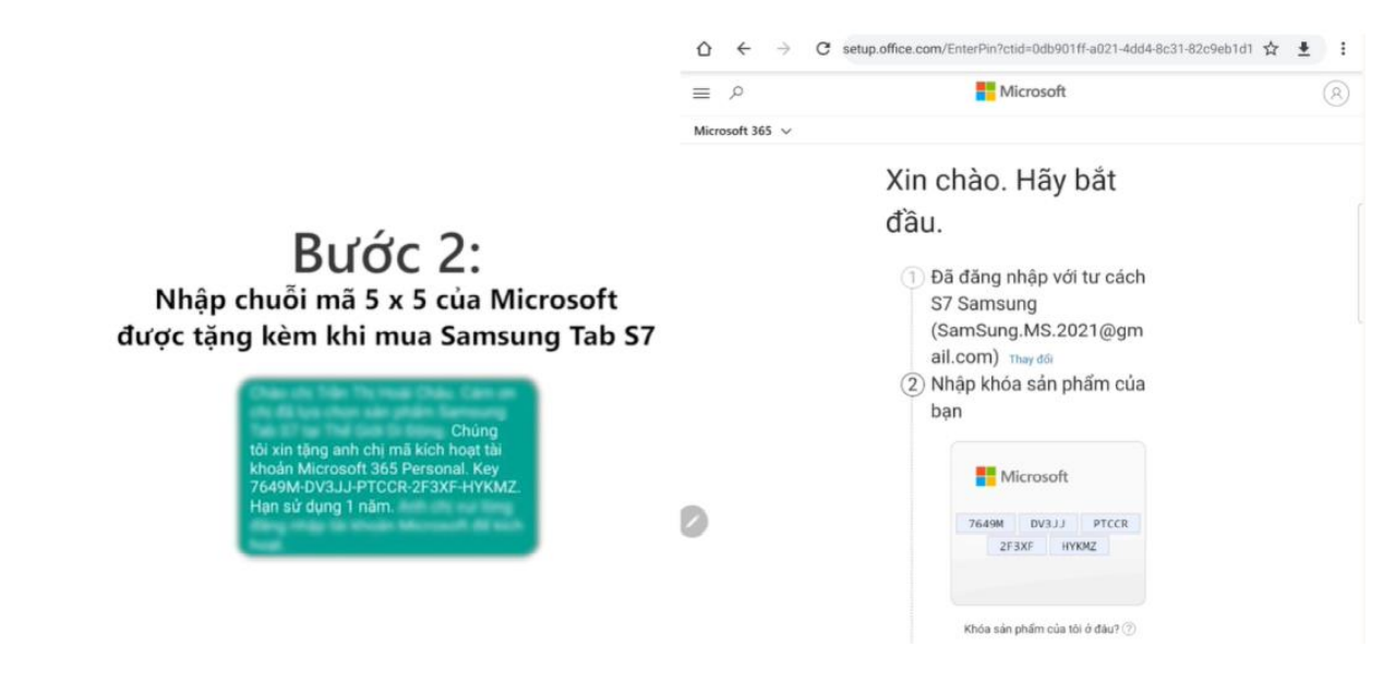 Tang Microsoft-2