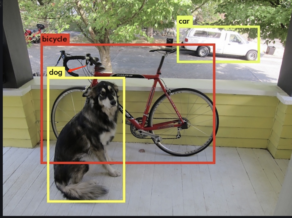 Phân biệt giữa con vật và con người