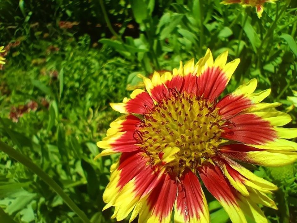 Đánh giá Realme X7 Max (ảnh 7)