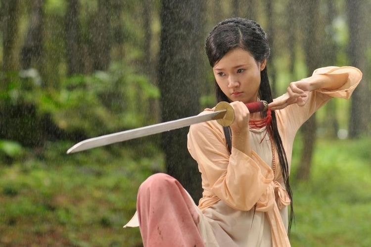 Thiên Mệnh Anh Hùng (2012)