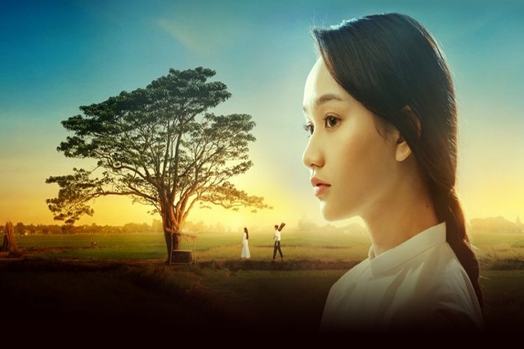 Mắt Biếc (2019)