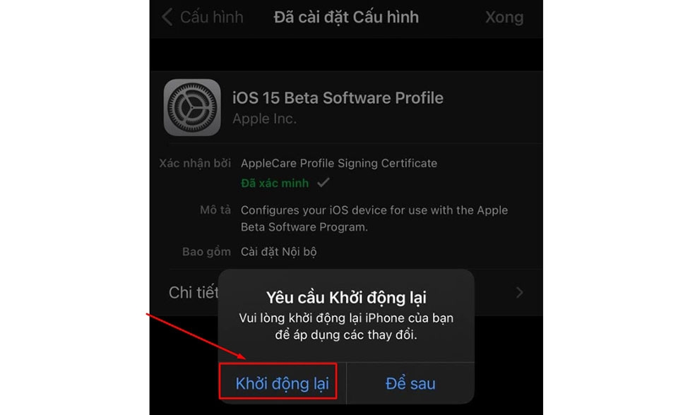 Tải về chứng chỉ iOS 15
