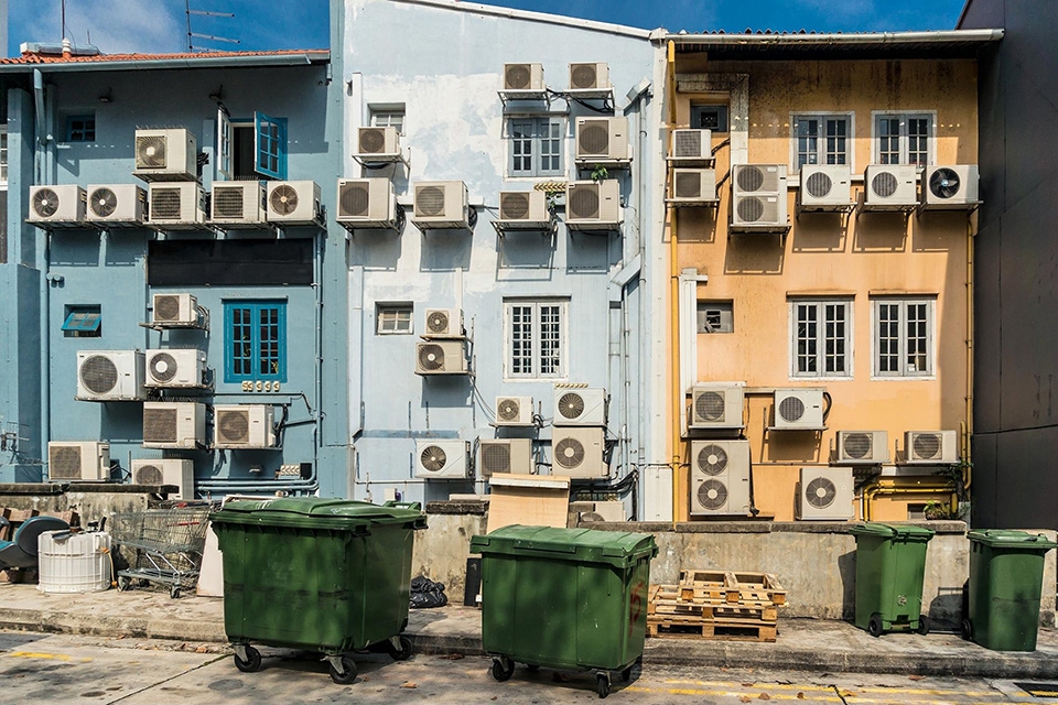 Eco là gì?