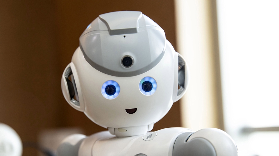 Robot Alexa Robot Alexa