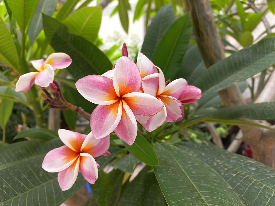 Đánh giá Galaxy M32 (ảnh 7) Đánh giá Galaxy M32 (ảnh 7)
