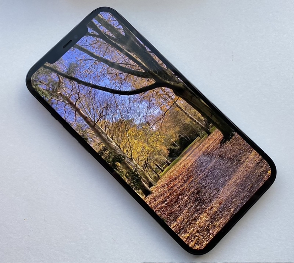 Nên mua iPhone 12 hay chờ iPhone 13 (ảnh 4)