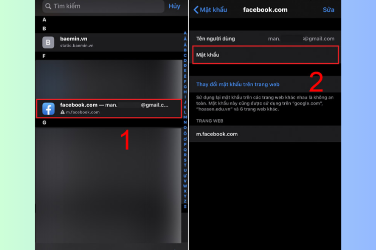 Cách xem mật khẩu facebook của tôi (17)