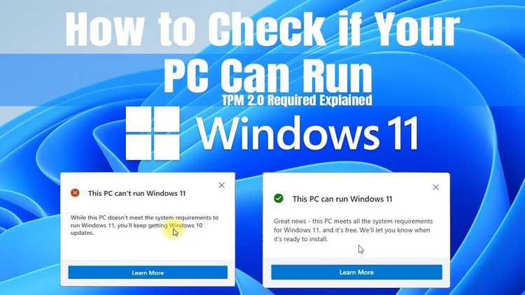 11 câu hỏi và câu trả lời quan trọng về Windows 11 (2)
