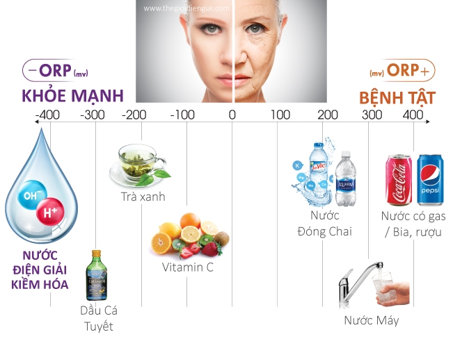 chỉ số ORP trong nước - hình 2