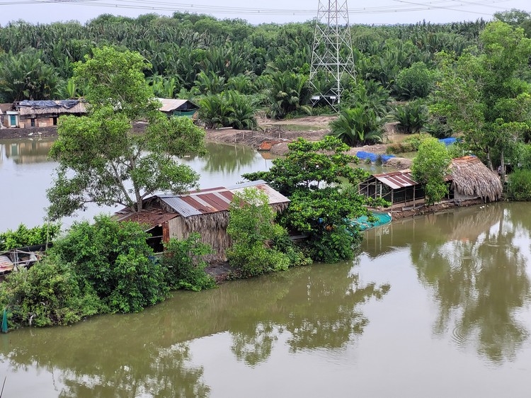 Camera Samsung Galaxy S20 FE