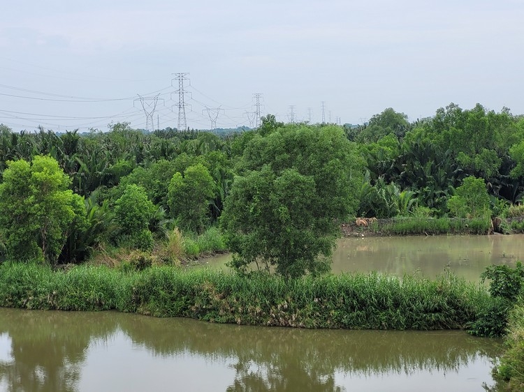 Camera Samsung Galaxy S20 FE