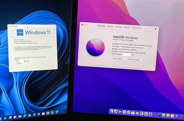 So sánh Windows 11 so với MacOS (1)