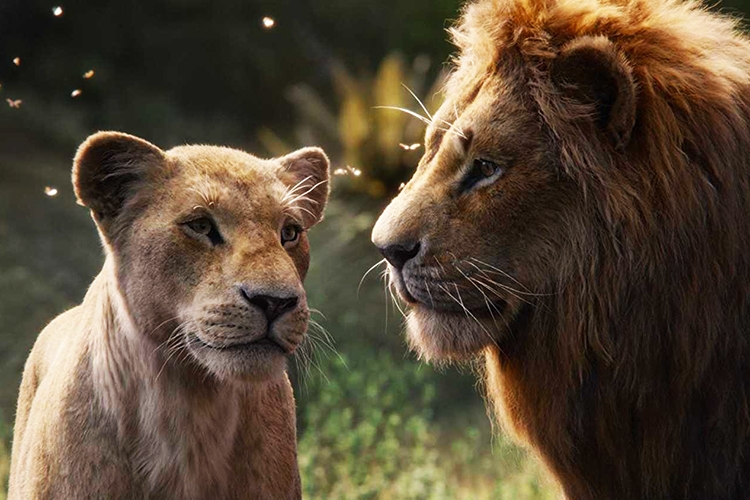 The Lion King (2019)