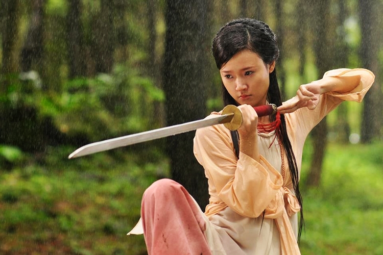 phim võ thuật Việt Nam (ảnh 1)