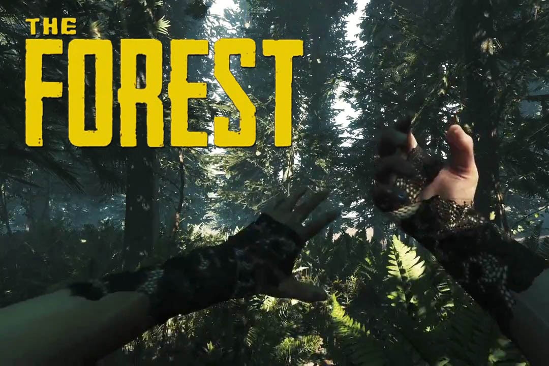 The Forest