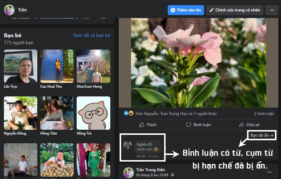 Các comment sẽ tự động được ẩn đi