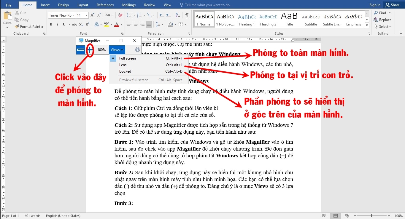 Magnifier có nhiều lựa chọn dành cho người dùng.