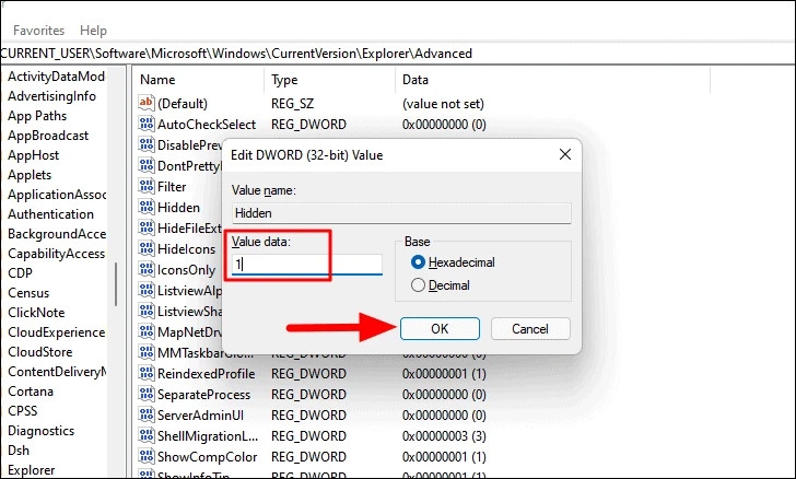 Cách hiển thị tệp và thư mục ẩn trên Windows 11 (13)