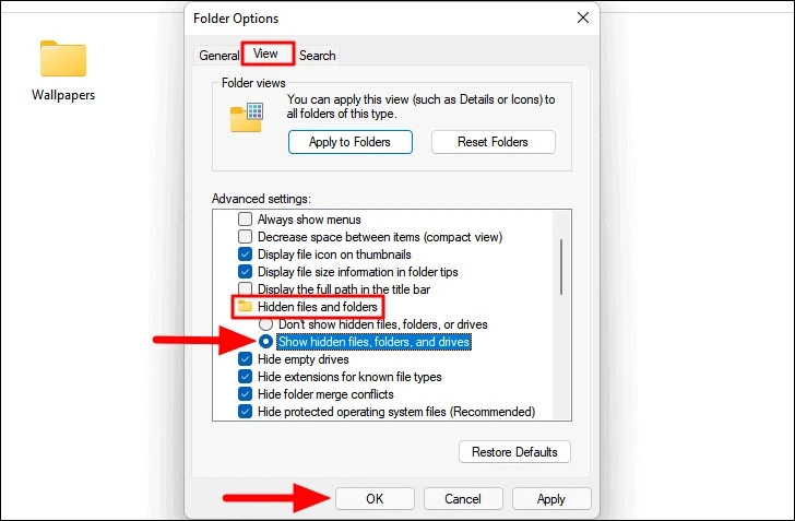 Cách hiển thị tệp và thư mục ẩn trên Windows 11 (5)