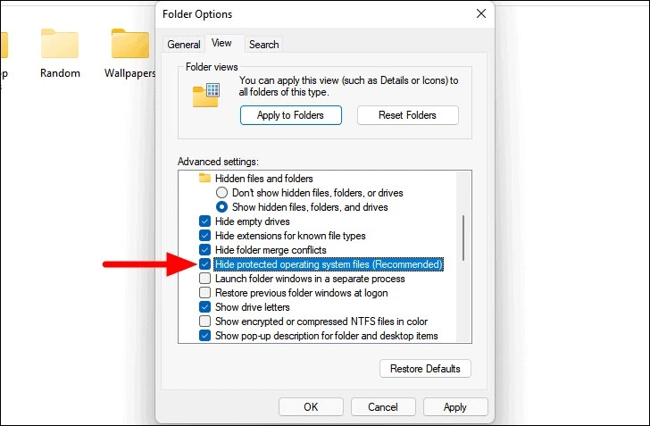 Cách hiển thị tệp và thư mục ẩn trên Windows 11 (6)