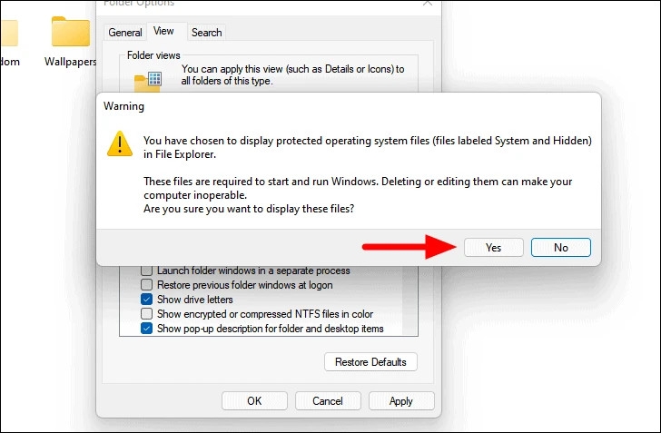 Cách hiển thị tệp và thư mục ẩn trên Windows 11 (7)