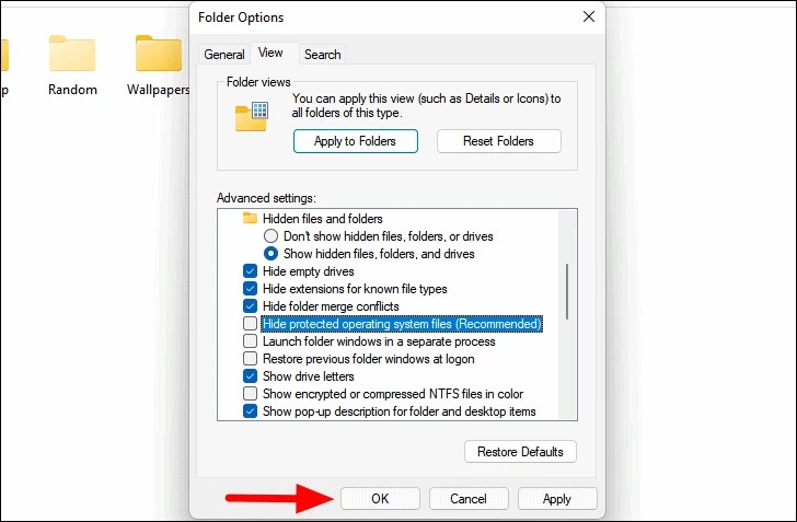 Cách hiển thị tệp và thư mục ẩn trên Windows 11 (8)