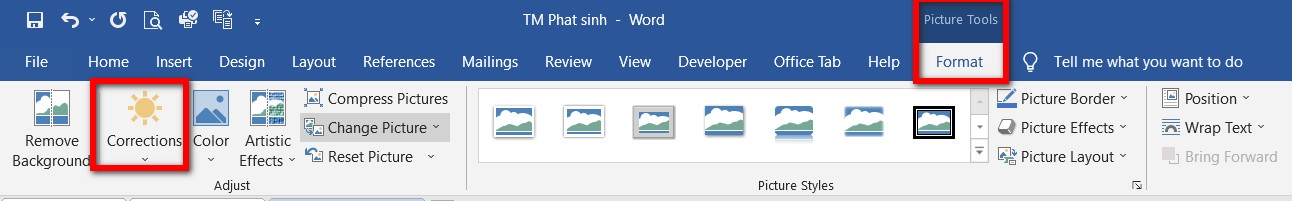 Bỏ túi ngay 2 cách làm mờ ảnh trong Word với vài thao tác nhanh chóng (2)
