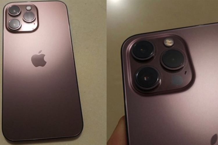 iPhone 13 màu hồng (ảnh 8)