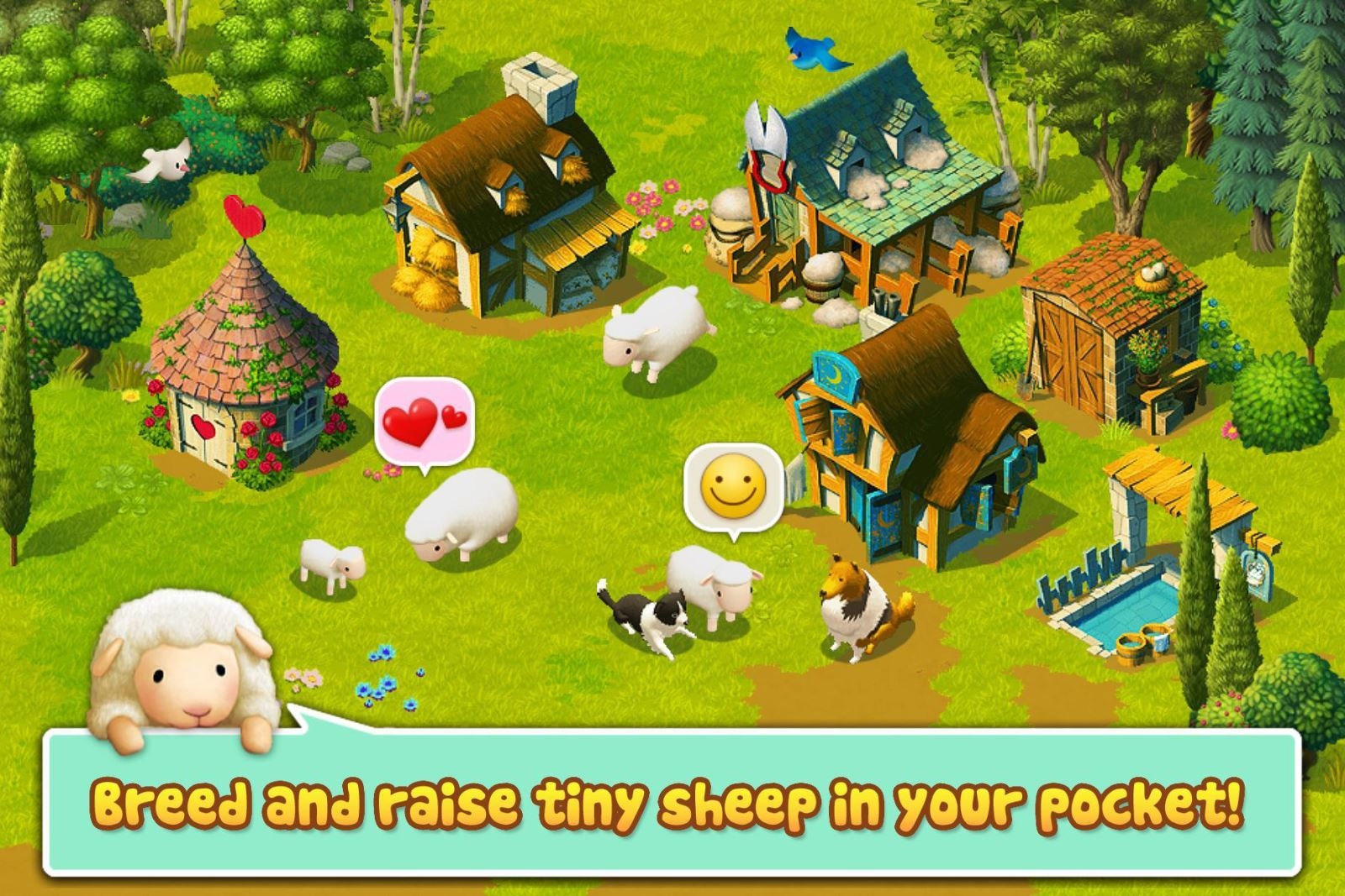 Tiny Sheep