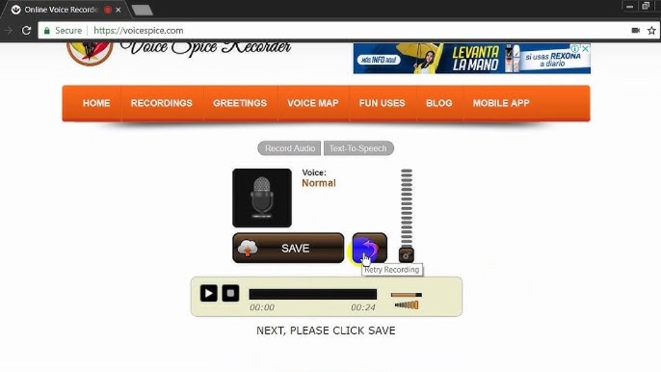 Website voicespice.com
