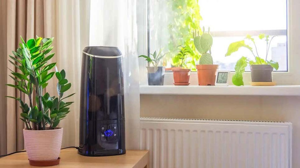 Bộ lọc máy lọc không khí