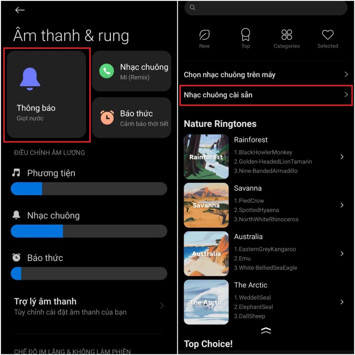 Hướng dẫn thay đổi âm thông báo trên điện thoại Android (2)