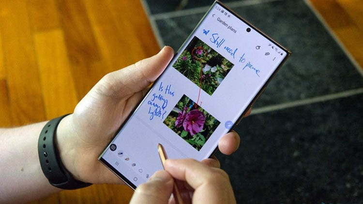 Thông tin Galaxy Note 22 series (ảnh 3)