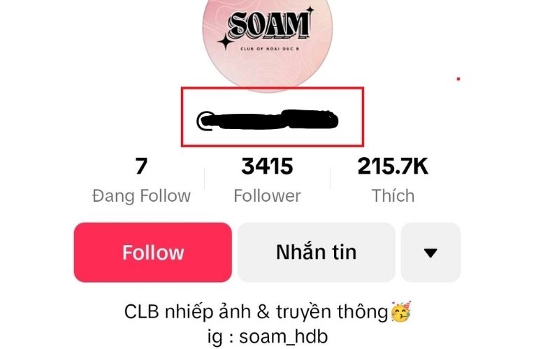 id tiktok