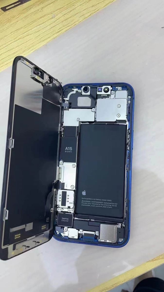 Mổ bụng iPhone 13 (ảnh 2)