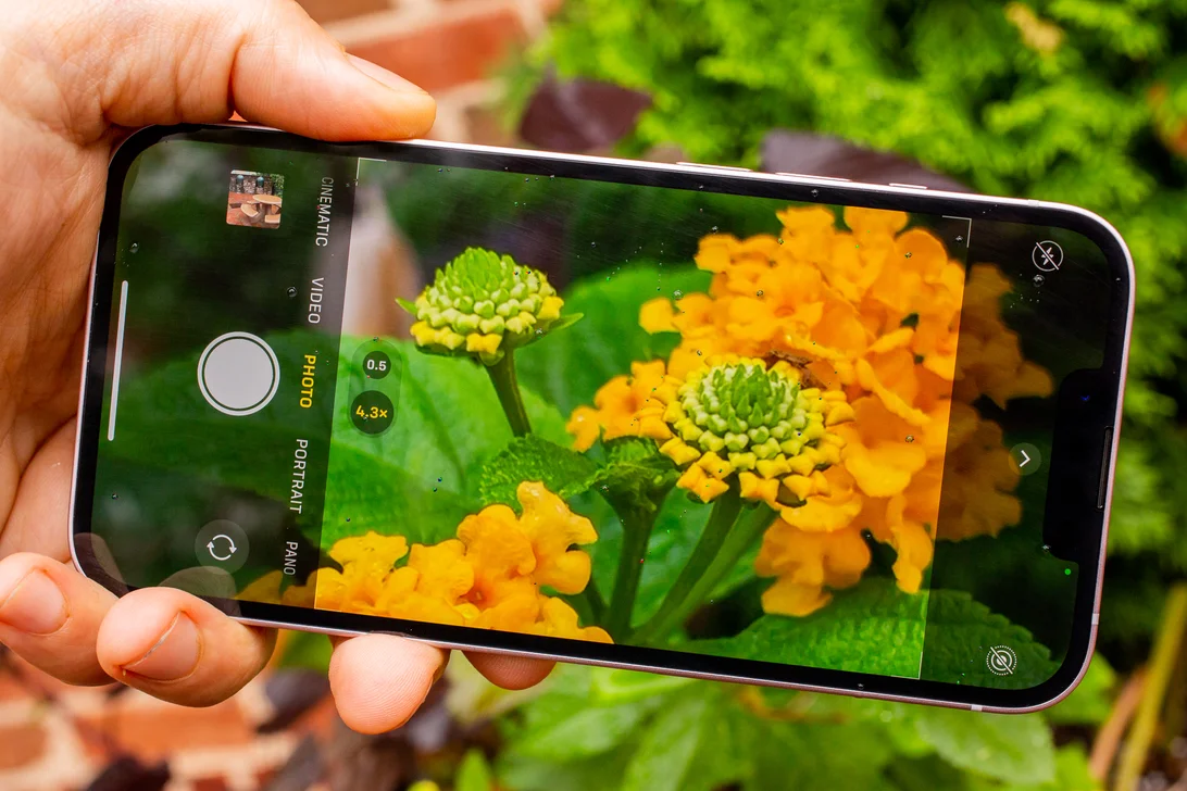 So sánh iPhone 13 và iPhone 11: Có nên nâng cấp không?