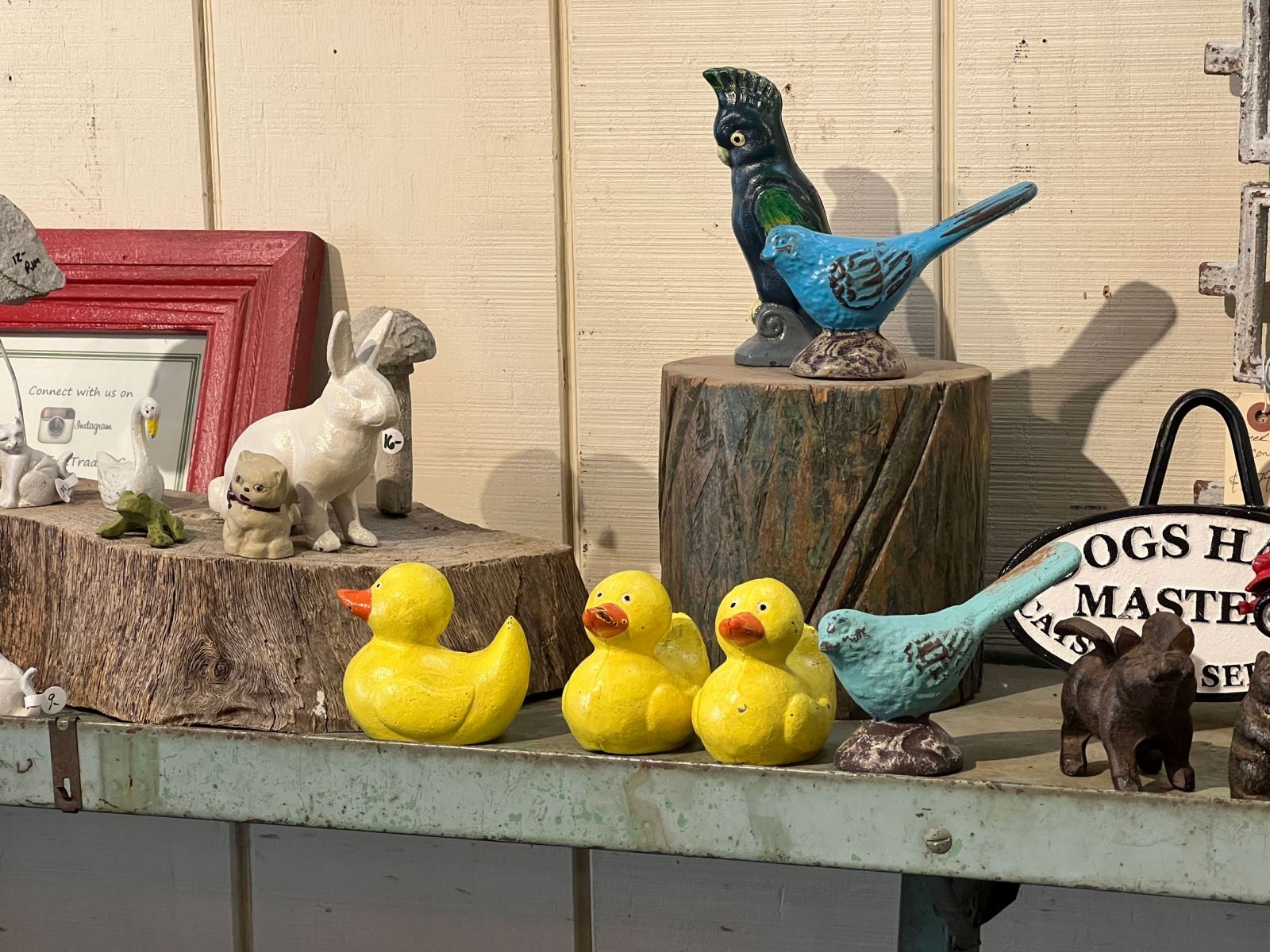 đánh giá Camera iPhone 13 Pro 5