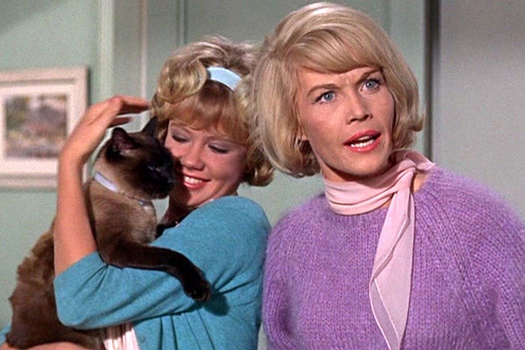 Điệp Viên Mèo - That Darn Cat (1965)