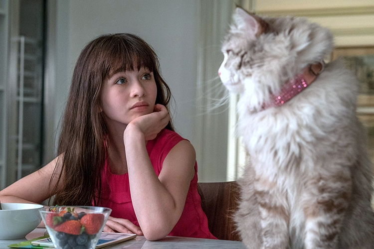Bố Tôi Là Mèo - Nine Lives (2016)