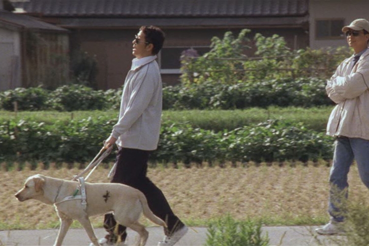 Chú Chó Quill - Quill: The Life Of A Guide Dog (2004)