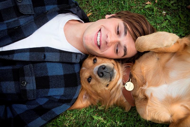 Mục Đích Sống Của Một Chú Chó - A Dog's Purpose (2017)