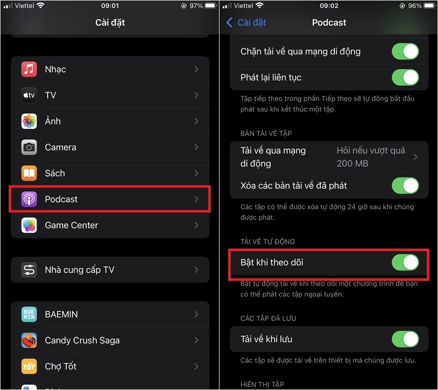 Hướng dẫn cách xóa, chặn tải xuống podcast tự động trên iPhone (5)