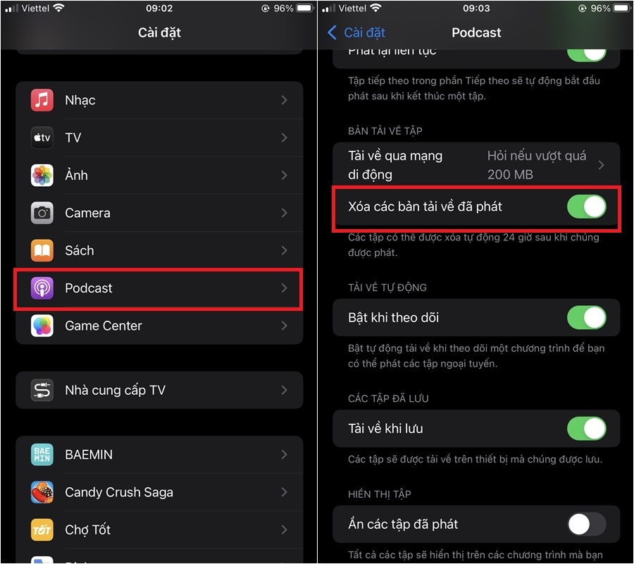 Hướng dẫn cách xóa, chặn tải xuống podcast tự động trên iPhone (8)